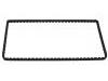 正时链条 Timing Chain:13028-6N200